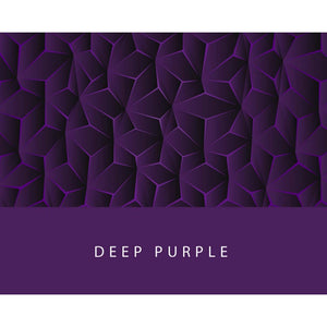 Colorverse | Project Series | Fountain Pen Ink | Deep Purple | 65ml - penpencilink