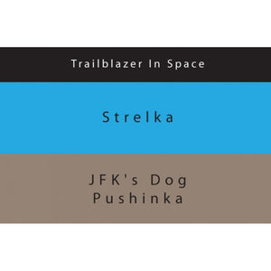 Colorverse Ink | Trailblazer In Space | Strelka | Blue | 65ml & 15ml | 2 Bottle Set - penpencilink