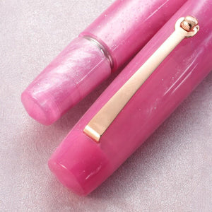 Penlux | Fountain Pen | Concerto | Rose Nebula | Rose Gold Trim - penpencilink