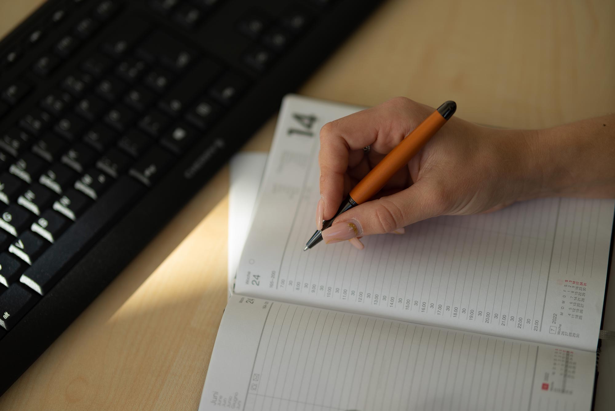 Horner | Auerus | Rollerball Pen | - Orange