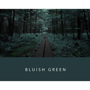 Colorverse | Project Series | Fountain Pen Ink | Bluish Green | 65ml - penpencilink