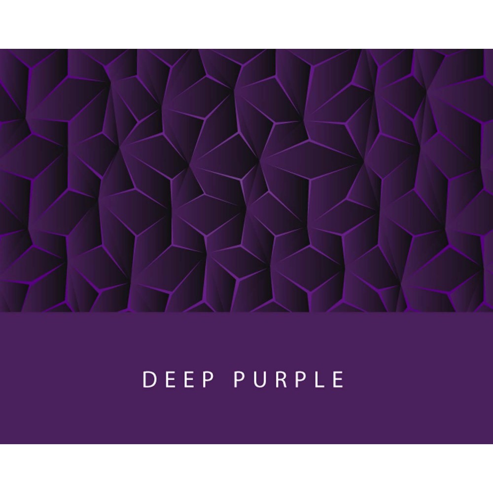 Colorverse | Project Series | Fountain Pen Ink | Deep Purple | 65ml - penpencilink