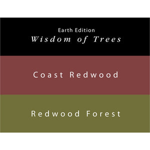 Colorverse | Earth Edition | Coast Redwood (Brown) - Redwood Forest (Dark Green) | Fountain Pen Ink | 65ml and 15ml | 2 Bottle Set - penpencilink