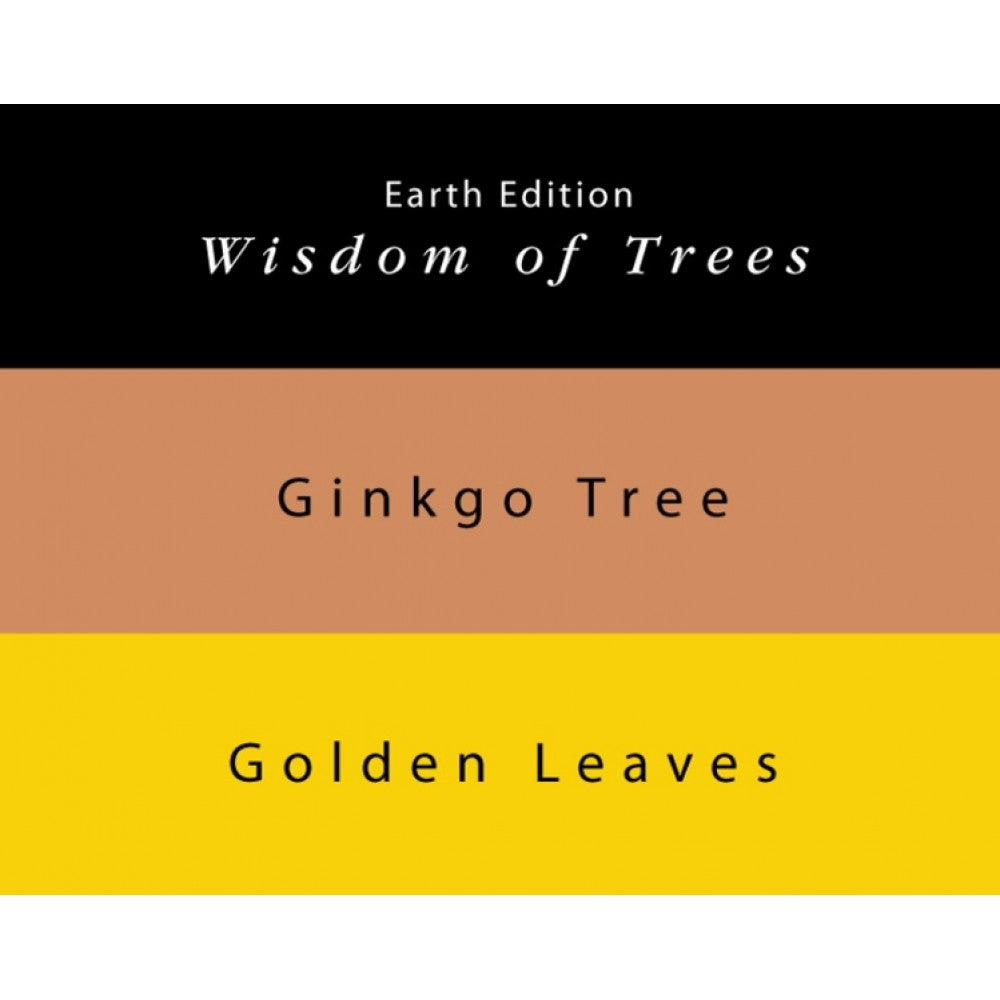 Colorverse | Earth Edition | Ginkgo Tree Light Brown | Golden Leaves Yellow | Fountain Pen Ink | 65ml and 15ml | 2 Bottle Set - penpencilink