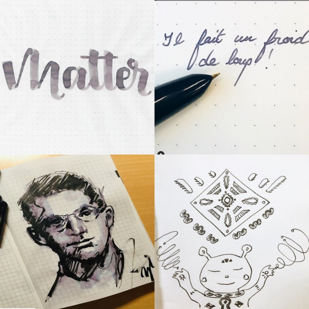 Colorverse | Multiverse Series | Season 3 | Matter | Anti-Matter | Fountain Pen Ink | Grey | 65ml and 15ml | 2 Bottle Set - penpencilink