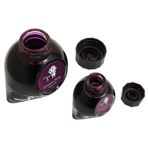 Colorverse | Spaceward Series | Season 1 | Fountain Pen Ink | Einstein Ring | Purple | 65ml and 15ml | 2 Bottle Set - penpencilink