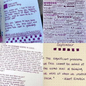 Colorverse | Spaceward Series | Season 1 | Fountain Pen Ink | Einstein Ring | Purple | 65ml and 15ml | 2 Bottle Set - penpencilink