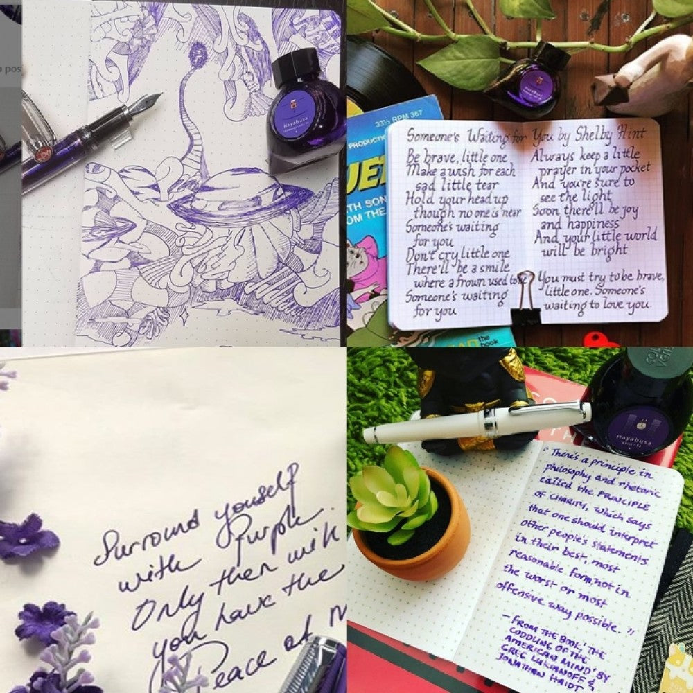 Colorverse | Hayabusa | Fountain Pen Ink | Special Edition | Purple | 65ml and 15ml | 2 Bottle Set - penpencilink