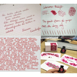 Colorverse | Astrophysics Series | Season 2 | Fountain Pen Ink | Redshift | Red | 65ml and 15ml | 2 Bottle Set - penpencilink